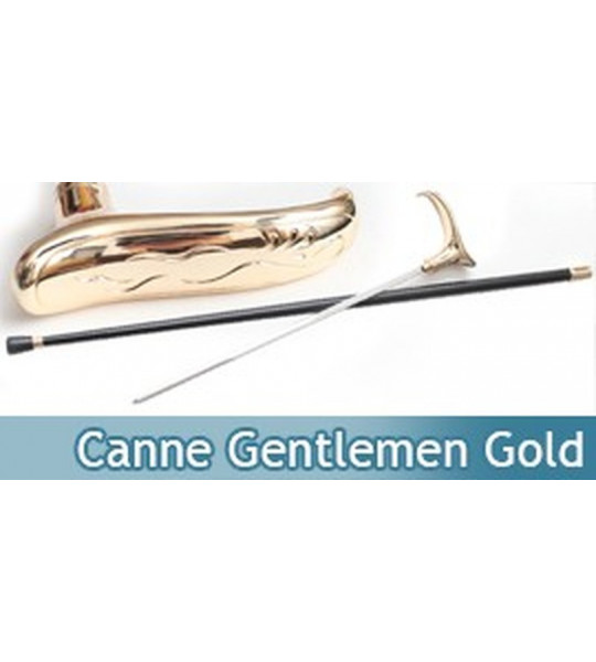 Canne Epee Gentlemen Gold JS265-KJ