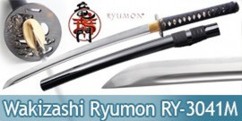 Ryumon Wakizashi Black Dragon Carbone 1065 Epee