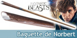 ID9 - Harry Potter Les Animaux Fantastiques Présentoir logo Macusa + 5  Baguettes Magiques