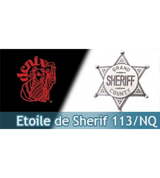 Etoile de Sherif Denix Badge Acier 113/NQ