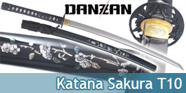 Danzan Katana Practical...