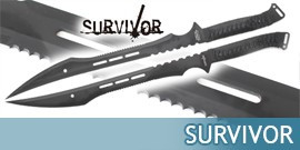 Survivor